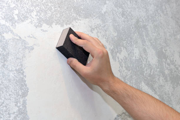 Best Crawl Space Mold Remediation  in Camp Hill, AL