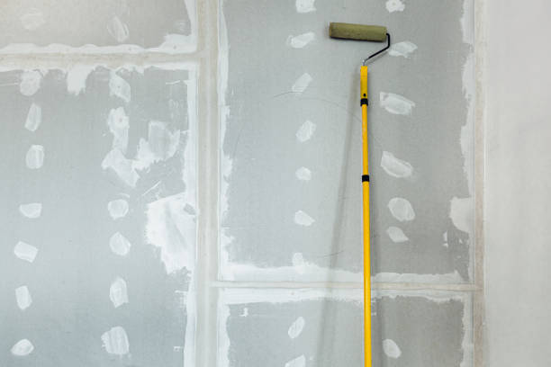 Best Black Mold Removal  in Camp Hill, AL