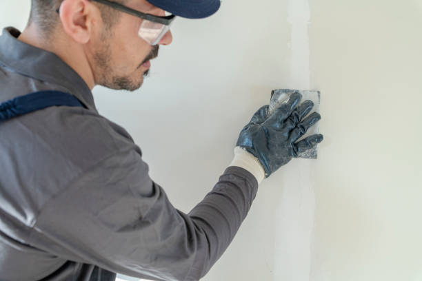 Best Asbestos and Lead Testing During Mold Inspection  in Camp Hill, AL