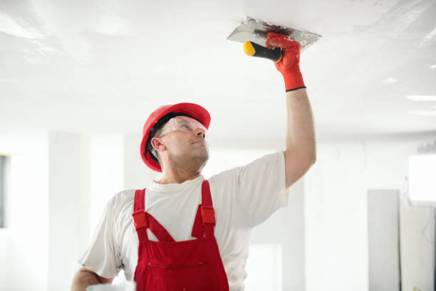 Best Residential Mold Inspection & Testing  in Camp Hill, AL