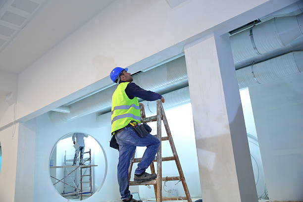 Best Emergency Mold Remediation  in Camp Hill, AL