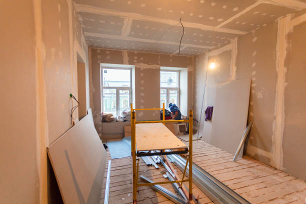 Professional Mold Removal in Camp Hill, AL