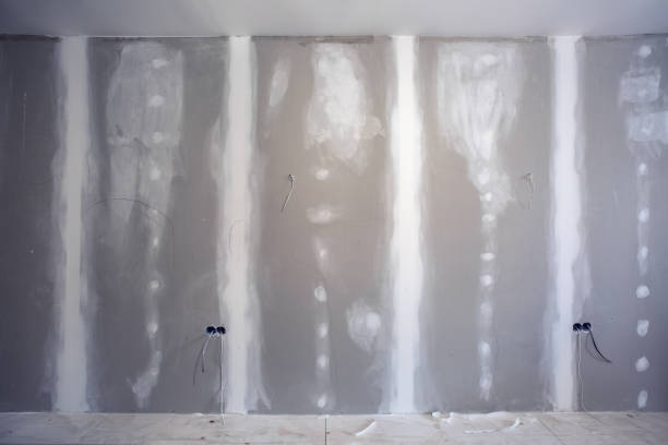 Best Industrial Mold Remediation  in Camp Hill, AL