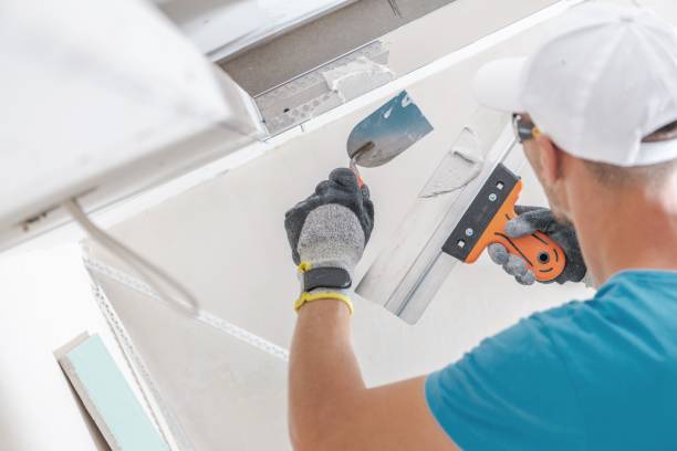 Best Forensic Mold Investigation  in Camp Hill, AL